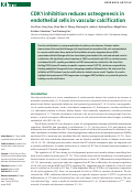 Cover page: CDK1 inhibition reduces osteogenesis in endothelial cells in vascular calcification.