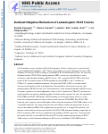 Cover page: Dominant-negative mechanism of leukemogenic PAX5 fusions