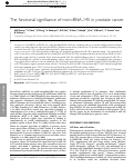 Cover page: The functional significance of microRNA-145 in prostate cancer