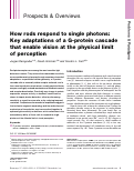 Cover page: How rods respond to single photons: Key adaptations of a G‐protein cascade that enable vision at the physical limit of perception
