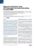 Cover page: Molecular Architecture of the ATP-Dependent Chromatin-Remodeling Complex SWR1