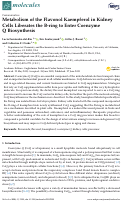 Cover page: Metabolism of the Flavonol Kaempferol in Kidney Cells Liberates the B-ring to Enter Coenzyme Q Biosynthesis
