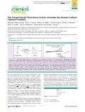 Cover page: The Fungal Sexual Pheromone Sirenin Activates the Human CatSper Channel Complex