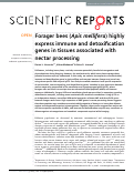 Cover page: Forager bees (Apis mellifera) highly express immune and detoxification genes in tissues associated with nectar processing