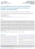 Cover page: Gene amplification acts as a molecular foothold to facilitate cross-species adaptation and evasion of multiple antiviral pathways