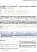 Cover page: White Matter Stroke Induces a Unique Oligo-Astrocyte Niche That Inhibits Recovery