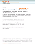 Cover page: Mohawk promotes the maintenance and regeneration of the outer annulus fibrosus of intervertebral discs