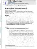 Cover page: APOE4 dysregulates autophagy in cultured cells