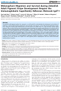 Cover page: Melanophore Migration and Survival during Zebrafish Adult Pigment Stripe Development Require the Immunoglobulin Superfamily Adhesion Molecule Igsf11