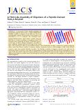 Cover page: A fibril-like assembly of oligomers of a peptide derived from β-amyloid.