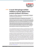 Cover page: A novel vibriophage exhibits inhibitory activity against host protein synthesis machinery