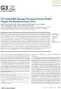 Cover page: The Yeast DNA Damage Checkpoint Kinase Rad53 Targets the Exoribonuclease, Xrn1