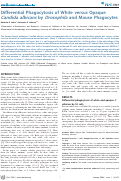 Cover page: Differential Phagocytosis of White versus Opaque Candida albicans by Drosophila and Mouse Phagocytes