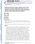 Cover page: Epidermal growth factor receptor signaling in precancerous keratinocytes promotes neighboring head and neck cancer squamous cell carcinoma cancer stem cell-like properties and phosphoinositide 3-kinase inhibitor insensitivity.