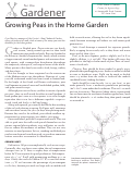 Cover page: Peas for the Home Garden