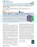 Cover page: To Be or Not To Be Polar: The Ferroelectric and Antiferroelectric Nematic Phases