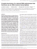 Cover page: Crystal structures of a natural DNA polymerase that functions as an XNA reverse transcriptase