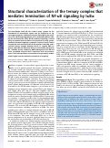 Cover page: Structural characterization of the ternary complex that mediates termination of NF-κB signaling by IκBα