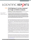 Cover page: Viral highway to nucleus exposed by image correlation analyses.