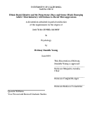 Cover page: Ethnic Racial Identity and the Perpetrator’s Race and Status: Black Emerging Adults’ Discriminatory Attributions to Racial Microagressions