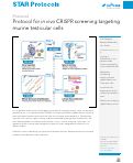 Cover page: Protocol for in&nbsp;vivo CRISPR screening targeting murine testicular cells.