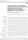 Cover page: Clinical, Diagnostic, and Imaging Findings in Three Juvenile Dogs With Paraspinal Hyperesthesia or Myelopathy as a Consequence of Hemophilia A: A Case Report