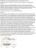 Cover page: Pathways for the Photoreduction of Fumarate on ZnS