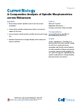 Cover page: A Comparative Analysis of Spindle Morphometrics across Metazoans