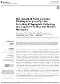 Cover page: The Impact of Aging on Brain Pituitary Adenylate Cyclase Activating Polypeptide, Pathology and Cognition in Mice and Rhesus Macaques