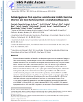 Cover page: Sulfated β-glucan from Agaricus subrufescens inhibits flavivirus infection and nonstructural protein 1-mediated pathogenesis.