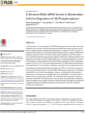 Cover page: A Genome-Wide siRNA Screen in Mammalian Cells for Regulators of S6 Phosphorylation