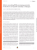 Cover page: Mitotic noncoding RNA processing promotes kinetochore and spindle assembly in Xenopus