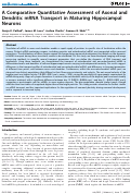 Cover page: A Comparative Quantitative Assessment of Axonal and Dendritic mRNA Transport in Maturing Hippocampal Neurons