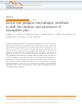 Cover page: Dorsal root ganglion macrophages contribute to both the initiation and persistence of neuropathic pain