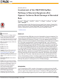 Cover page: Involvement of the JNK/FOXO3a/Bim Pathway in Neuronal Apoptosis after Hypoxic–Ischemic Brain Damage in Neonatal Rats