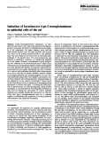 Cover page: Induction of keratinocyte type-I transglutaminase in epithelial cells of the rat