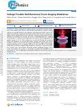 Cover page: Voltage-Tunable Multifunctional Zoom Imaging Metalenses