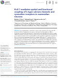 Cover page: Kv2.1 mediates spatial and functional coupling of L-type calcium channels and ryanodine receptors in mammalian neurons