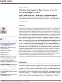 Cover page: Selective transport of fluorescent proteins into the phage nucleus