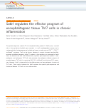 Cover page: Satb1 regulates the effector program of encephalitogenic tissue Th17 cells in chronic inflammation