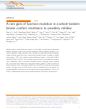 Cover page: A rare gain of function mutation in a wheat tandem kinase confers resistance to powdery mildew.