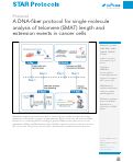 Cover page: A DNA-fiber protocol for single molecule analysis of telomere (SMAT) length and extension events in cancer cells.