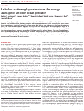 Cover page: A shallow scattering layer structures the energy seascape of an open ocean predator.