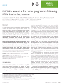 Cover page: DGCR8 is essential for tumor progression following PTEN loss in the prostate