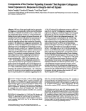 Cover page: Components of the nuclear signaling cascade that regulate collagenase gene expression in response to integrin-derived signals.