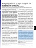 Cover page: Leaf-galling phylloxera on grapes reprograms host metabolism and morphology.