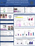 Cover page of TRPM4 Promotes Psoriasiform Dermatitis (PsD) and is a Potential Therapeutic Target for Psoriasis