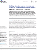 Cover page: Striking circadian neuron diversity and cycling of Drosophila alternative splicing