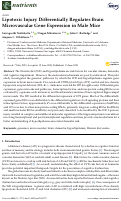 Cover page: Lipotoxic Injury Differentially Regulates Brain Microvascular Gene Expression in Male Mice