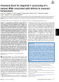 Cover page: Structural basis for impaired 5′ processing of a mutant tRNA associated with defects in neuronal homeostasis